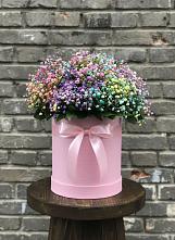 Цветочная композиция из Гипсофила и Розы в шляпной коробке #REPLACE_PRED# Киргиз-Мияки