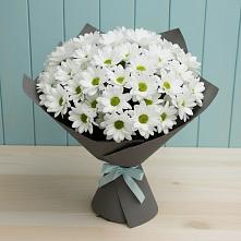 Букет цветов из:  Хризантемы в Киргиз-Мияки