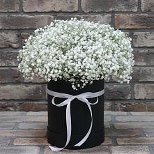 Цветочная композиция из Гипсофила в шляпной коробке в Киргиз-Мияки