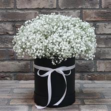 Цветочная композиция из Гипсофила в шляпной коробке в Киргиз-Мияки